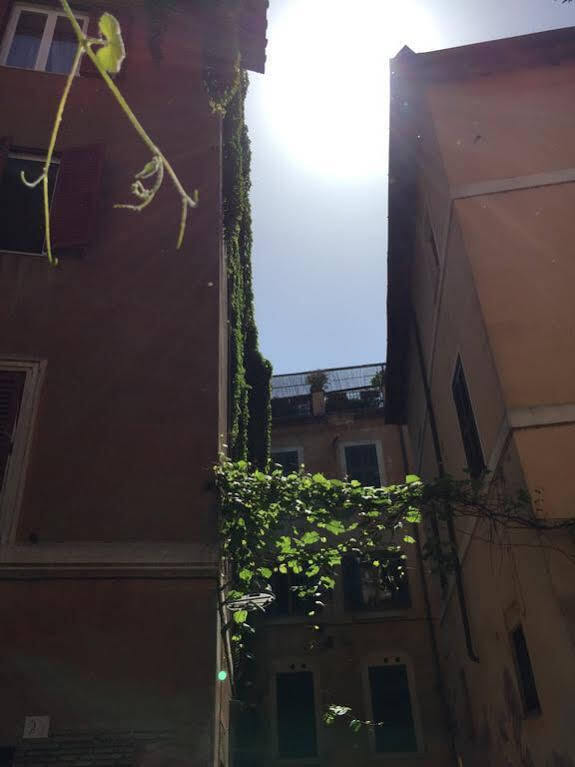 Nl Trastevere Affittacamere 2*